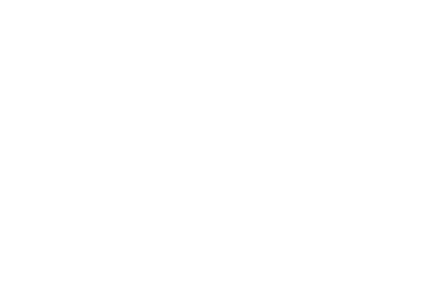 Logo for Narrative, a blogging software for photographers because Pepper has an affiliate Narrative discount code.