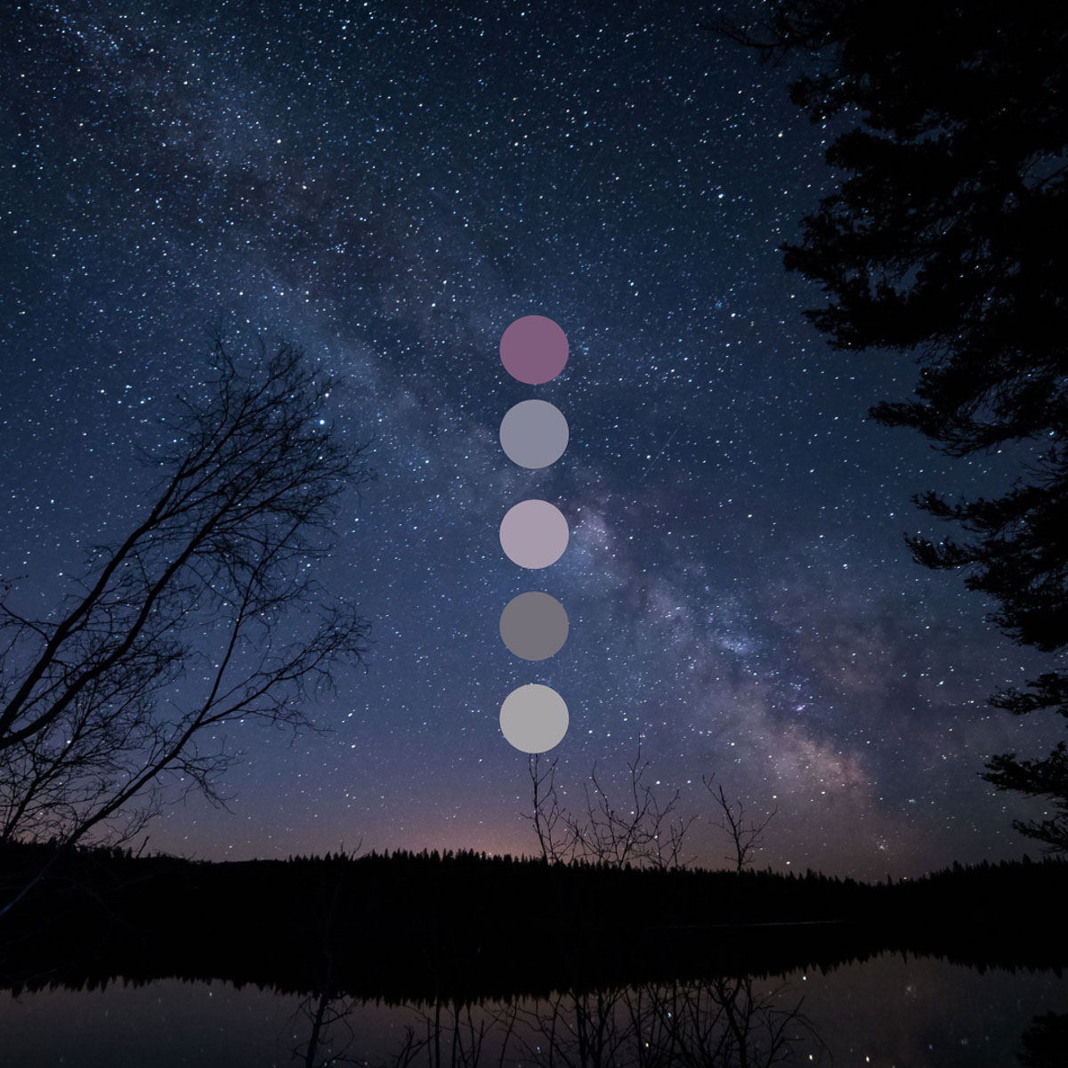 mood board colour inspo or a branding project by Meet Pepper in Kamloops BC for KSACC