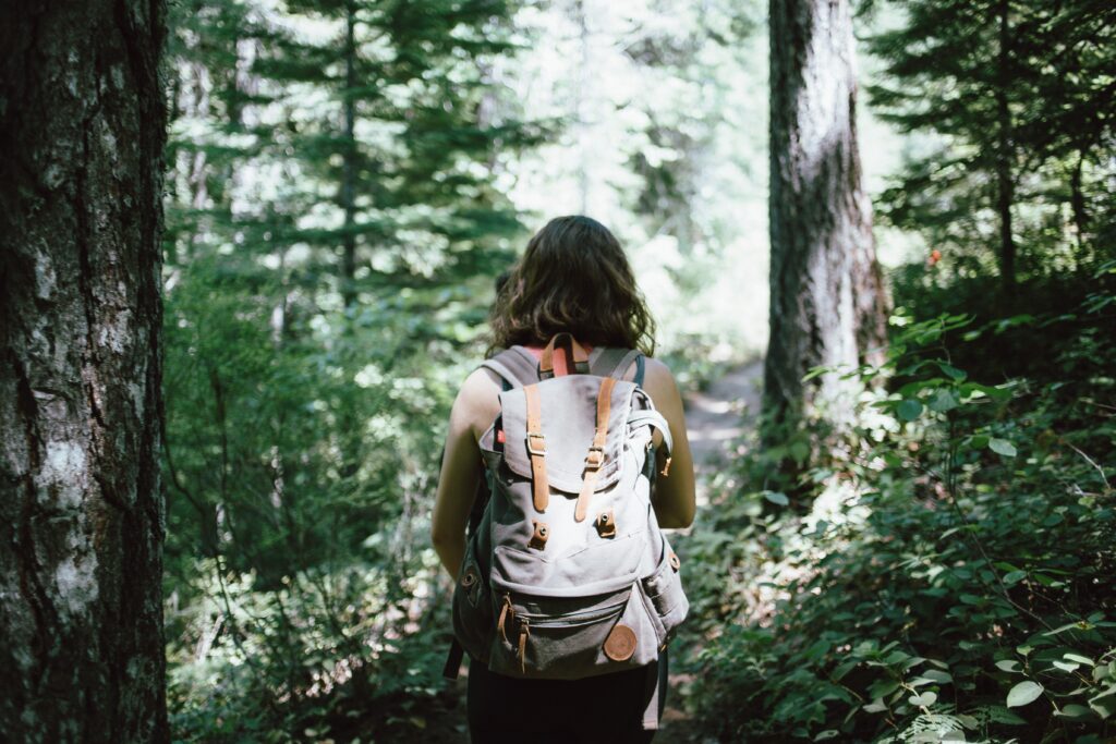 A person wearing a backpack walking through the forest, taking a nature break.