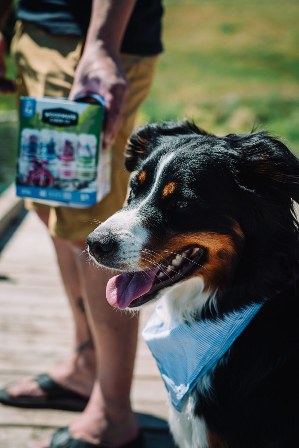 Woodward Cider Content Day with Pepper