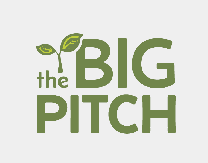 Visual Identity The Big Pitch by Pepper Marketing