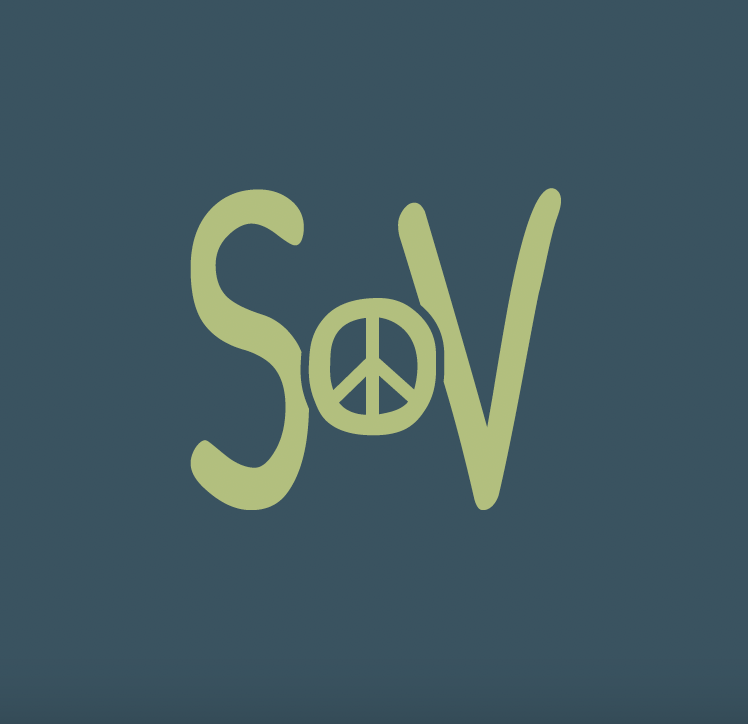 Stay on Vibe Visual Identity by Pepper Marketing